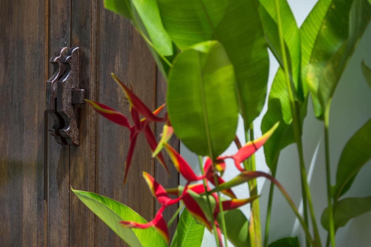 Ao Nang Amadha Villas Retreat - Free Tuk-Tuk Service To The Beach מראה חיצוני תמונה